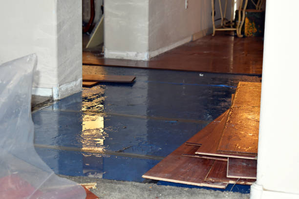 Professional Burst Pipe Water Damage technician working in Strafford, MO